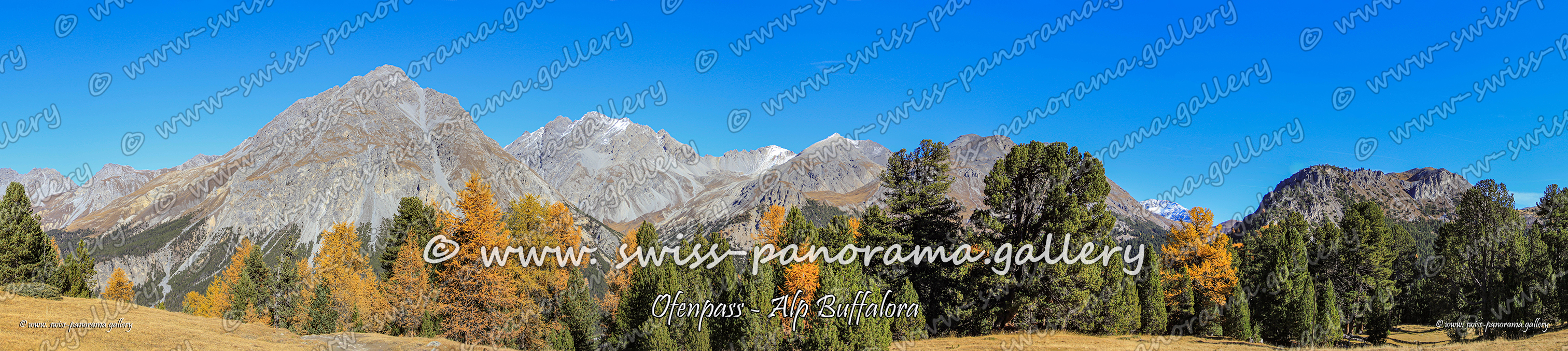 Panorama Ofenpass Alp Buffalora, Piz Nair, swisspanorama.gallery 