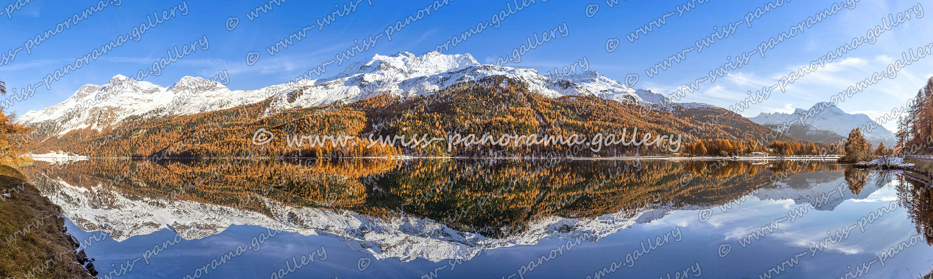 swiss panorama gallery Lake Silvaplana panorama, Piz Salacina 2'599 m (9 km), Piz Fedoz 3'190 m (9 km), Piz de la Margna 3'159 m Goldener Herbst im Oberengadin