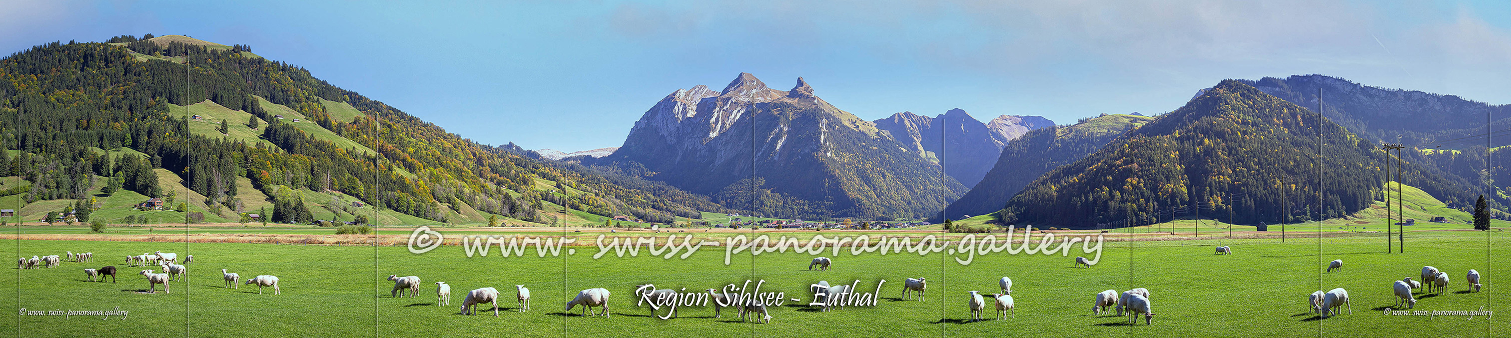 Swiss Panorama Euthal Alpenpanorama swiss-panorama.gallery