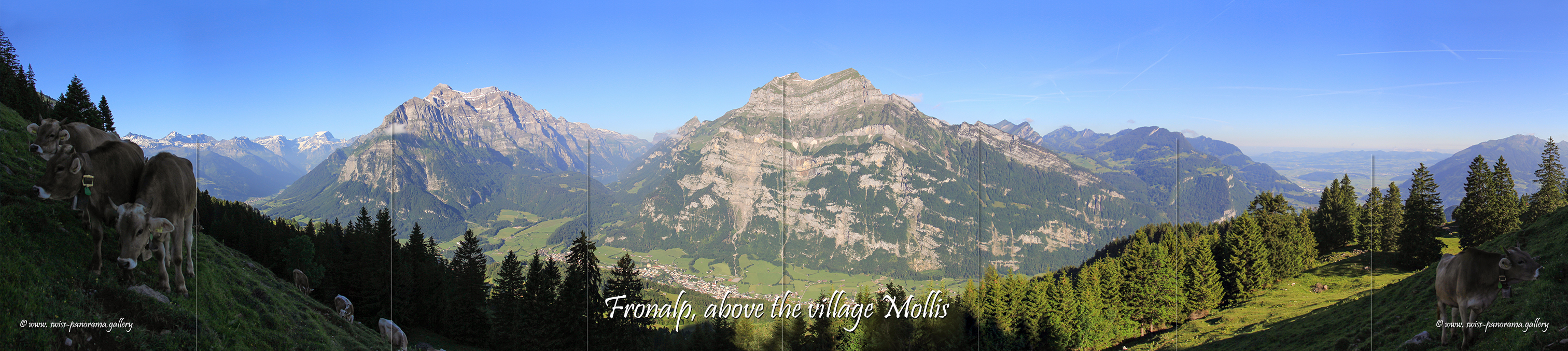 Switzerland panorama Fronalp Mollis