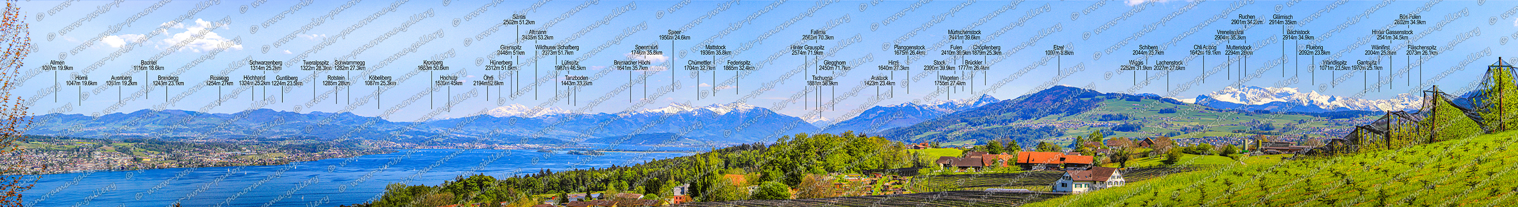 Panorama Herrlisberg Wädenswil am Zürichsee