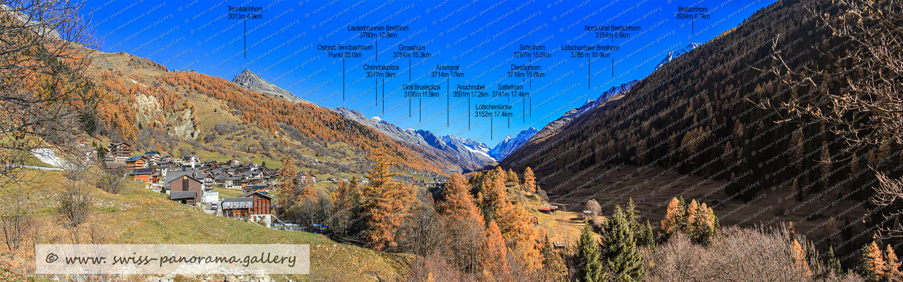 Beschriftetes Alpenpanorama Ferden im Lötschental, Labelled Swiss mountain Panorama, swiss-panorama.gallery, Swiss Alps, Ferden, Tennbachhorn 3013m 4.9km, Grat Tennbachhorn Punkt 2819m, Chrindalspitza 3017m 9km,, Lauterbrunnen Breithorn 3780m 12.8km, Grosshorn 3754m 15.3km, Anungrat 3714m 17km, Brustspitza 3195m 11.9km, Anuchnubel 3591m 17.2km, Bietschhorn 3934m 6.7km, Tennbachhor 3013m 4.9km, Schinhorn 3797m 15.5km, Diestighorn 3716m 15.8km, Lötschenlücke 3152m 17.4km, Sattelhorn 3741m 17.4km,