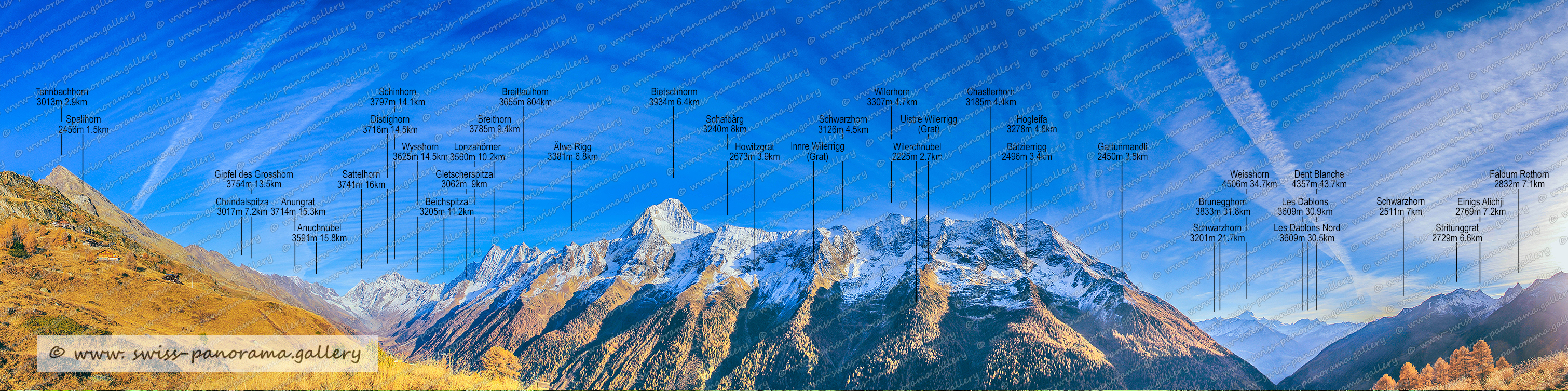 Beschriftetes Alpenpanorama Lauchernalp, Panorama Lauchernalp. , Gipfel de Grosshorn 3754m 13.5km , Chrindalspitza 3017m 7.2km, Anungrat 3714m 15.3km, Schinhorn 3797m 14.1km, Distkighorn 3716m 14.5km, Wysshorn 3625m 14.5km, Bietschhorm 3934m 6.4km, Schafbärg 3240m 8km, Faldum Rothorn 2832m 7.1km, Einigs Alichji 2769m 7.2km, Stritunggrat 2729m 6.6km, Schwarzhorn 2511m 7km, Weisshorn 4506m 34.7km, Dent Blanche 4357m 43.7km, Les Dablons 3609m 30.9km, Les Dablons 3609m 30.9km, Brunegghorn 3833m 31.8km, Schwarzhorn 3201m 21.7km, Gattunmandli 2450m 3.5km, Wilerhorn 3307m 4.7km, Schwarzhorn 3126m 4.5km, Innre Wilerrigg 3.7km, Uistre Wilerrigg (Grat), Wilerchnubel 2225m 2.7km, Chastlerhorn 3185m 4.4km, Hogleifa 3278m 4.8km, Bätzlerrigg 2496m 3.4km, Howitzgrat 2673m 3.9km, Älwe Rigg 3381 6.8km, Breitlauihorn 3655m 804km, Breithorn 3785m 9.4km, Lonzahörner 3560m 10.2km, Gletscherspitza 3062  9km, Sattelhorn 3741m 16km, Beichspitza 3205m 11.2km, Anuchnubel 3591m 15.8km, Tennbachhorn 3013m 2.9km, Spalihorn 2456m 1.5km 