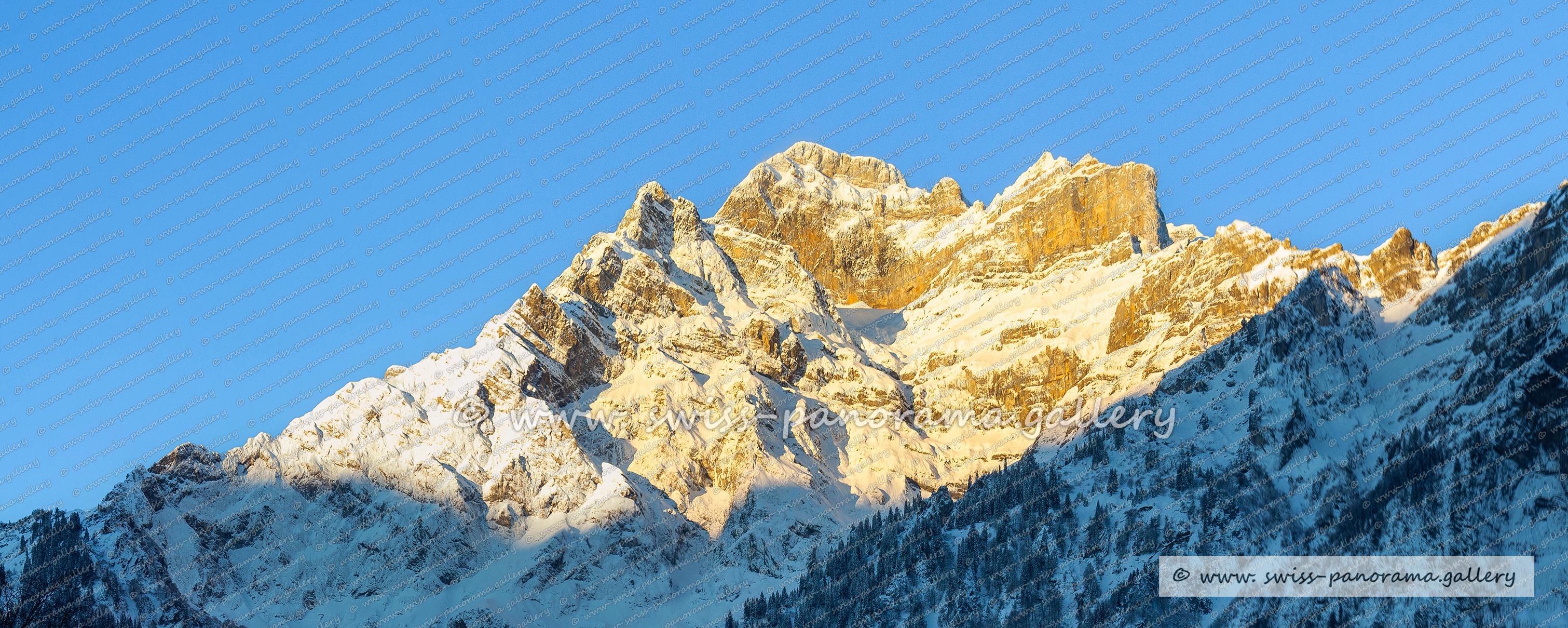 Schweizer Bergpanorama der Glarner Alpen, Swiss Alps; Alpenpanorama beschriftet; Schweizer Bergpanoramen; Mitlödi; Glärnisch Massiv; ALpenglühen; Guppenfirst; Vrenelisgärtli; Höch Tor; Glärnisch; Glarner Alpen, Glarner Alpenpanorama, Famois Swiss Alps, Swiss Panorama Gallery,