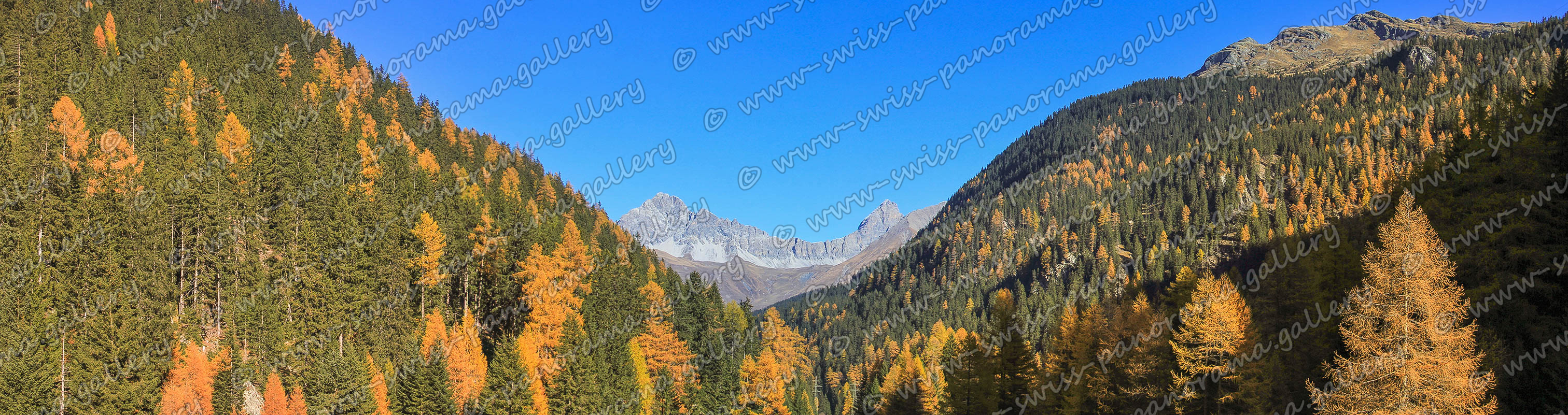 Swiss panorama Mulegns panorama