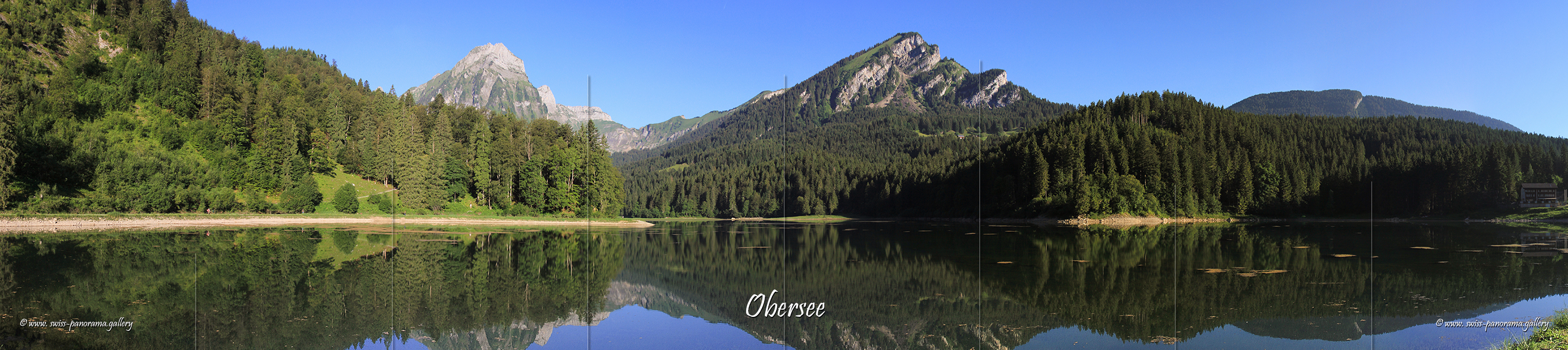 Switzerland panorama Rona