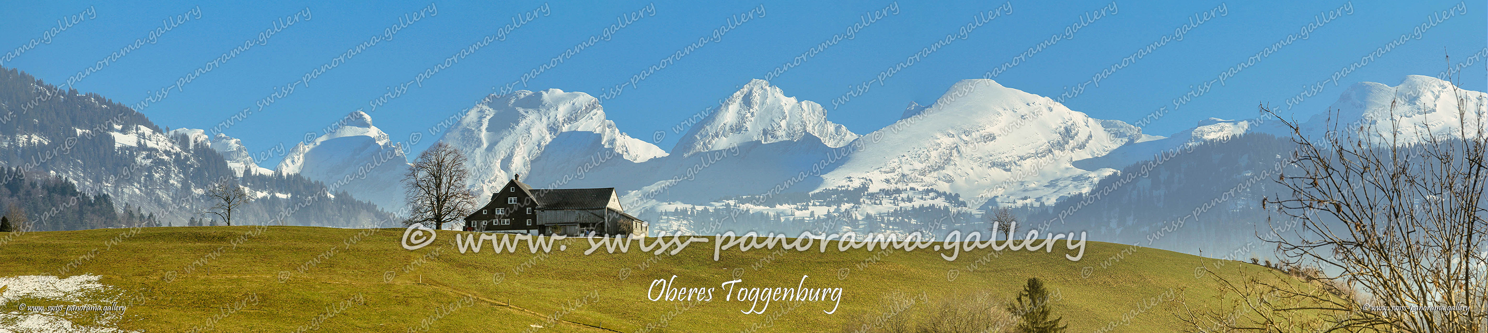 Churfirsten Alpen Panorama Toggenburg chweizer Alpen panorama; Neu St. Johann; swiss-panorama.gallery; Schären 2194m 10.1km; Wart 2068m 10.1km; Selun 2205m 10.1km; Brisi 2279m 10.9km; Brisi 2279m 10.9km; Zuestoll 2235m 11.1km; Schibenstoll 2236m 11.5km