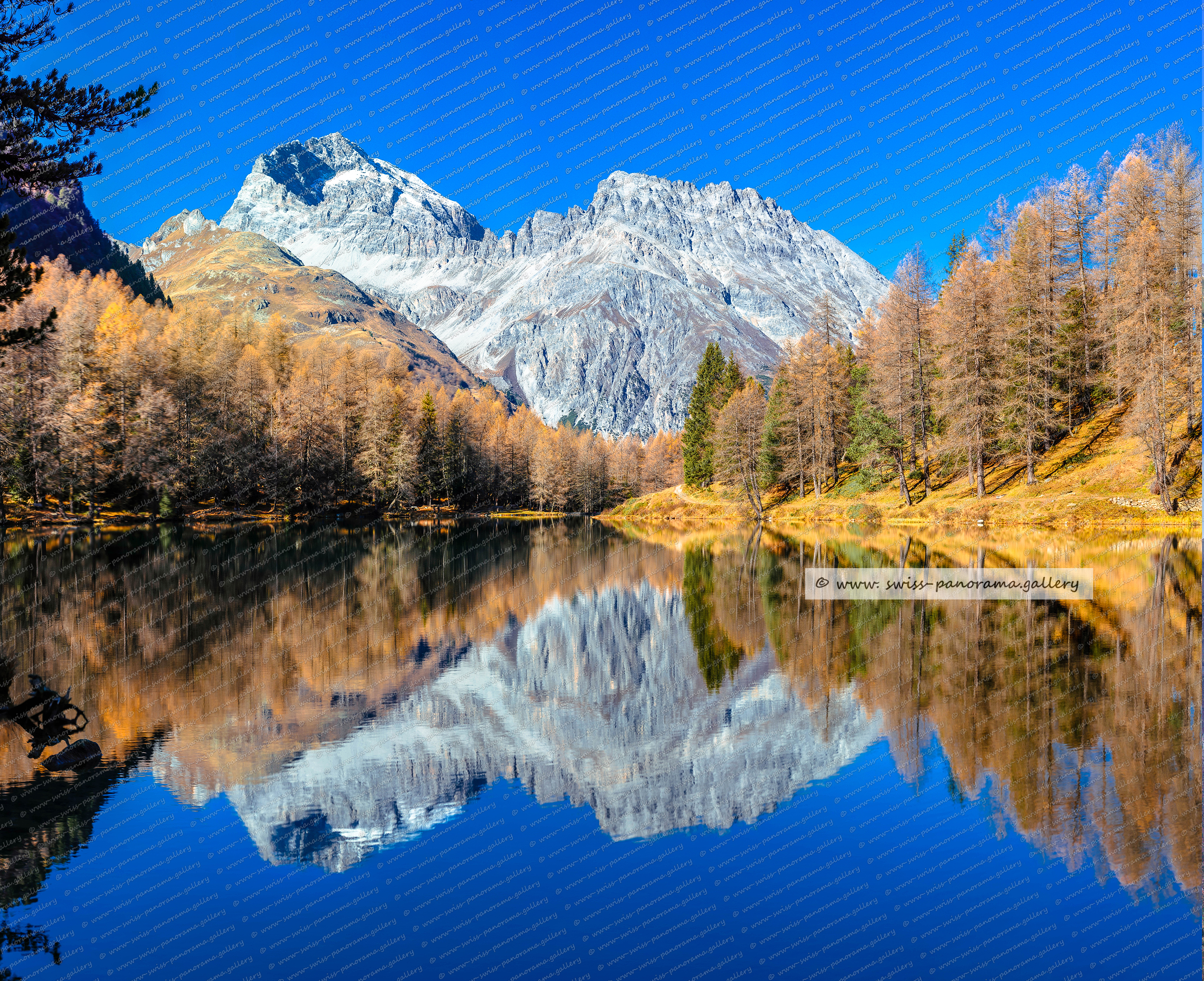 Palpuognasee Schweizer Berge Piz Ela Reflektionen