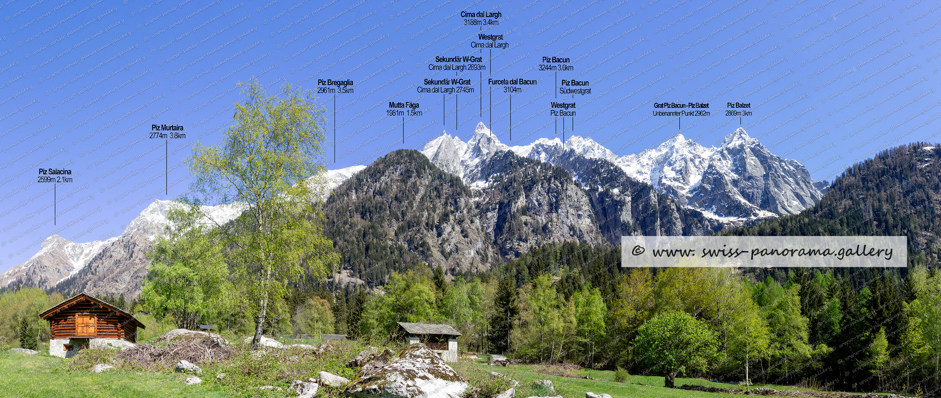 Schweizer Alpenpanorama, Bregaglia, Blick vom Bergell zu den Gipfeln  Gipfeln der Cima dal Largh und Piz Bacun swiss panorama.gallery
