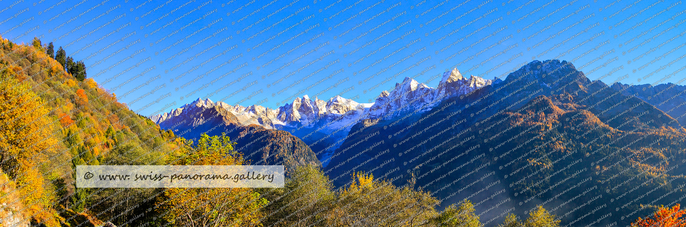 Schweizer Alpenpanorama, Bregaglia, Bergell Panorama von Soglioin Richtung Bondasca Tal swiss panorama.gallery