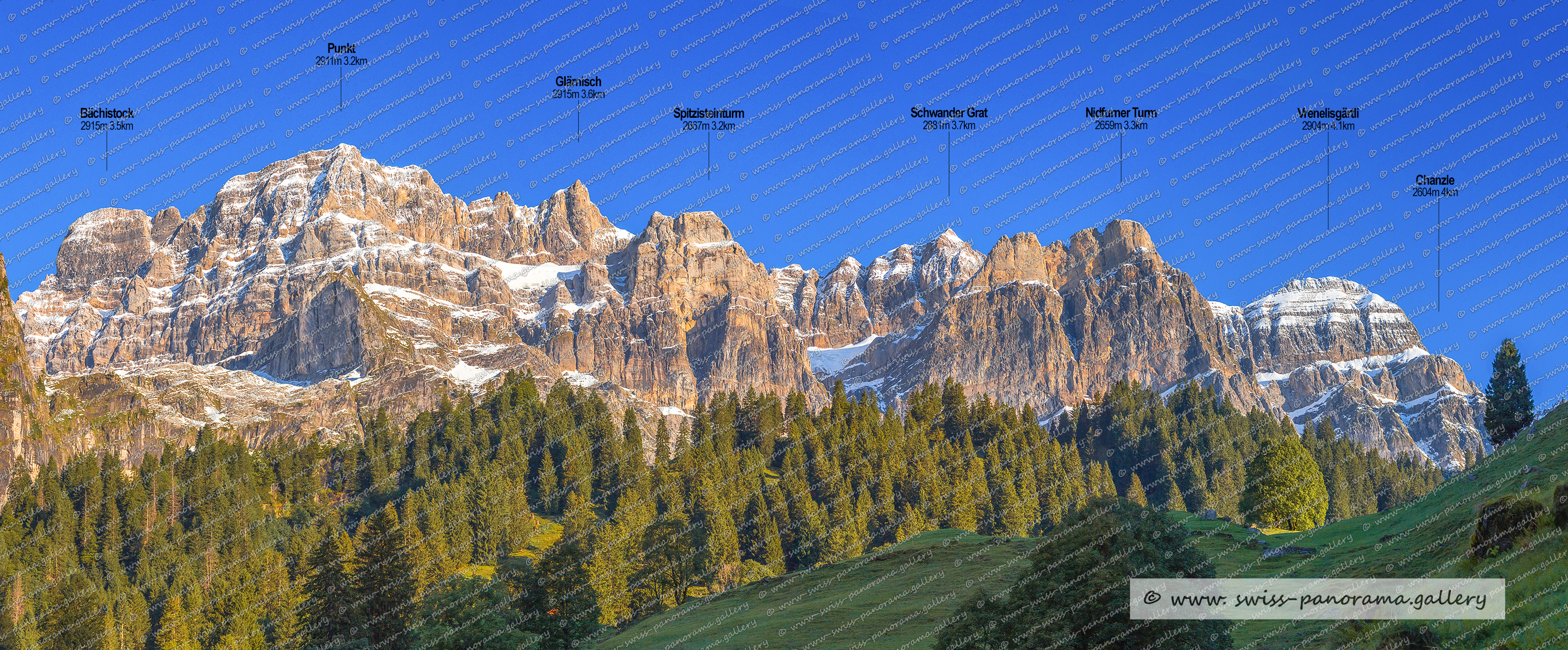 Panoramic picture of the Swiss Alps, Panoramic pjhotos oft he Swiss Alps, Glarus Süd, Glarner Grosstal, Brunnenberg, Schweizer Bergpanoraman, Glarner Alpenpanorama, Beschriftetes Schweizer Alpenpanorama, Glärnisch Massiv, Spitzisteinturm 2667m, Schwander Grat 2881m, Leitereggstock  2320m   Leitereggstogg (Braunwald), Vorder Eggstock 2449m (Braunwald), Hinter Eggstock 2436m  (Braunwald), Bös Fulen 2802m, Bösbächistock 2659m, Vrenelisgärtli 2904m, Chanzle 2604m, Bächistock 2915m, Glärnisch 2915m, Nidfurner Turm 2659m 3.3km, Luftseilbahn Luchsingen Brunnenberg,  swiss panorama, gallery