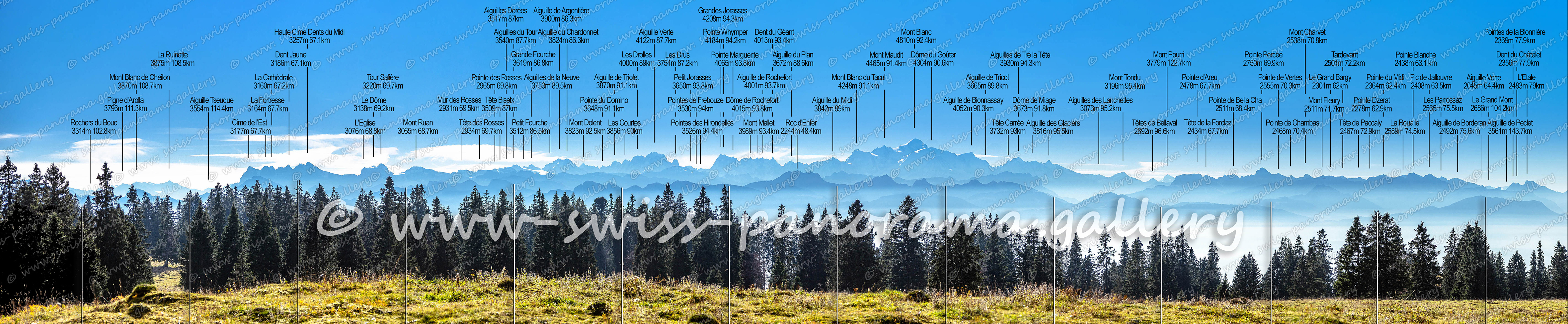 Switzerland panorama Col du Marchairuz Alpenpanorama Fernsicht Panorama Mont Blanc Massiv