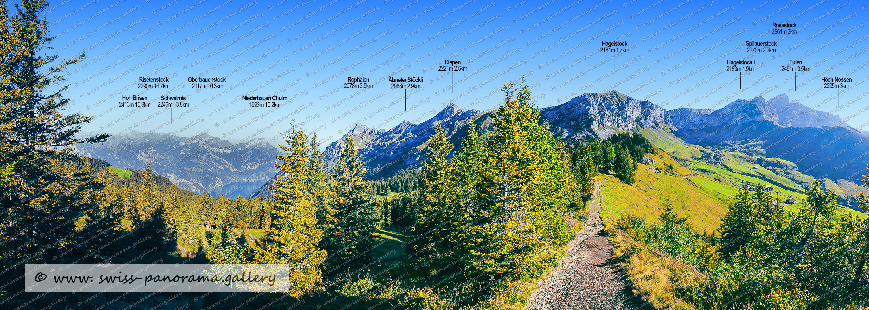 Maderanertal Sichtbare Gipfel,  Maderanertal Sichtbare Gipfel, Bockistock 1941m 2.2km, Eigenstock 2154m, Chli Windgällen 2987m, Gross Windgällen 3187m, Wilderegg 2393m, Steintal 2582m, Furggelihorn 2765m 4.1km ,  Rigg 2019m, Chli Bristen 2202m, Stucklistock 3313m, Fleckistock 3417m, Gemsplanggenstöckli 2416m, Rot Bristen 2765m, Bristen 3073m , Sunnig Wichel 2910m, Zwächten 2853m, Sunnig Wichel 2910m, Hüfistöcklenen 2393m, Hüfihütte 2334m 4.1km, Hinterbalm 1915m, Hinterbalm 1915m, Tschingel Stöck 2873m 4.8km, Zinggen 2607m,  Stotzig Grat 2990m,  Straligen Stöckli 2928m,  Straligen Stöckli 2928m,  Chli Düssi 3125m,  Gross Düssi 3256m, Schwarzstöckli 2572m, Oberalpstock 3328, Bänderstock 2806m, Fruttstock 2837m,   Hochbocki 2604 m, Gemsplanggenstöckli 2809m, Hinterbalm 1915m, Hoch Rinderbiel 2010m,  Höchen Schijen 2843m, Swiss Alps