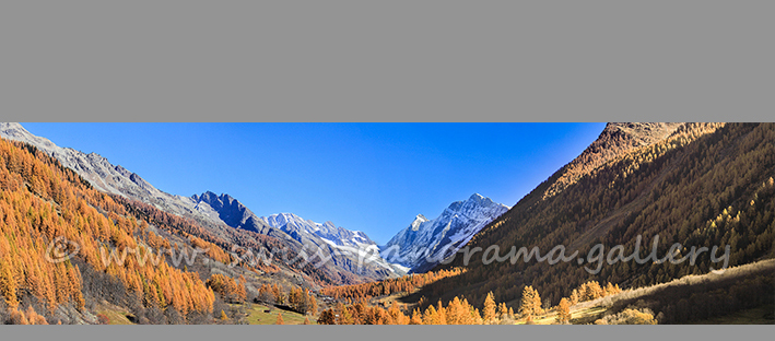 Lötschental Panorama Goldener Herbst Wallis Alpenpanorama