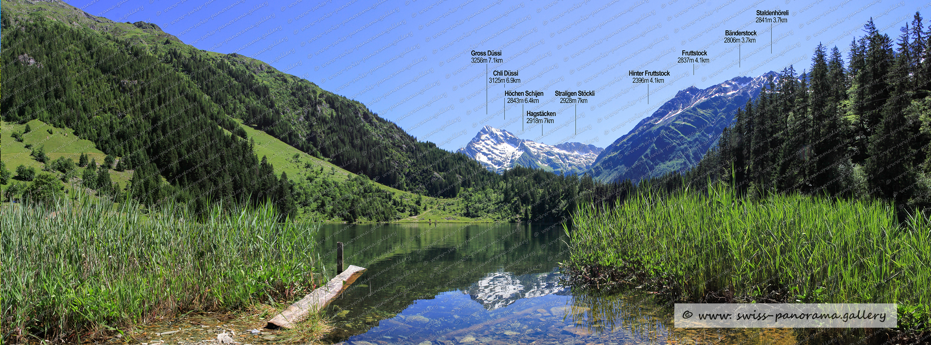 Alpenpanorama beschriftet, Golzern im Maderanertal, Sichtbare Berggipfel, Gross Düssi 3256m, Straligen Stöckli 2928m, Chli Düssi 3125m, Hagstäcken 2918m  , Höchen Schijen 2843m 6.4km, Bänderstock 2806m, Staldenhöreli 2841m, Bänderstock 2806m, Gross Düssdi NW Grat 2821m, Hinter Fruttstock 2396m, Geschel 1747m, Chli Düssi 3125m, Chli Oberälpler  3085m, Tscharren 2521m, Stöckli 2554m, Hoch Egg 2189m, Etzlibergstock 2613m, Witenalpstock 3016m Nordgipfel , Mutsch 2790m , Rossbodenstock 2461m,  Hälsistock 2965m,   Witenalpstock  3016m, Piz Nair 3059m, Piz Giuv  3096m, Rohrspitzli 3220m, Chüeplanggenstock 3209m, Gemsplanggenstöckli 2809m, Chli Bristen 2202m, Schafschijen 2840m, Fleckistock 3417m, Swiss mountain panorama