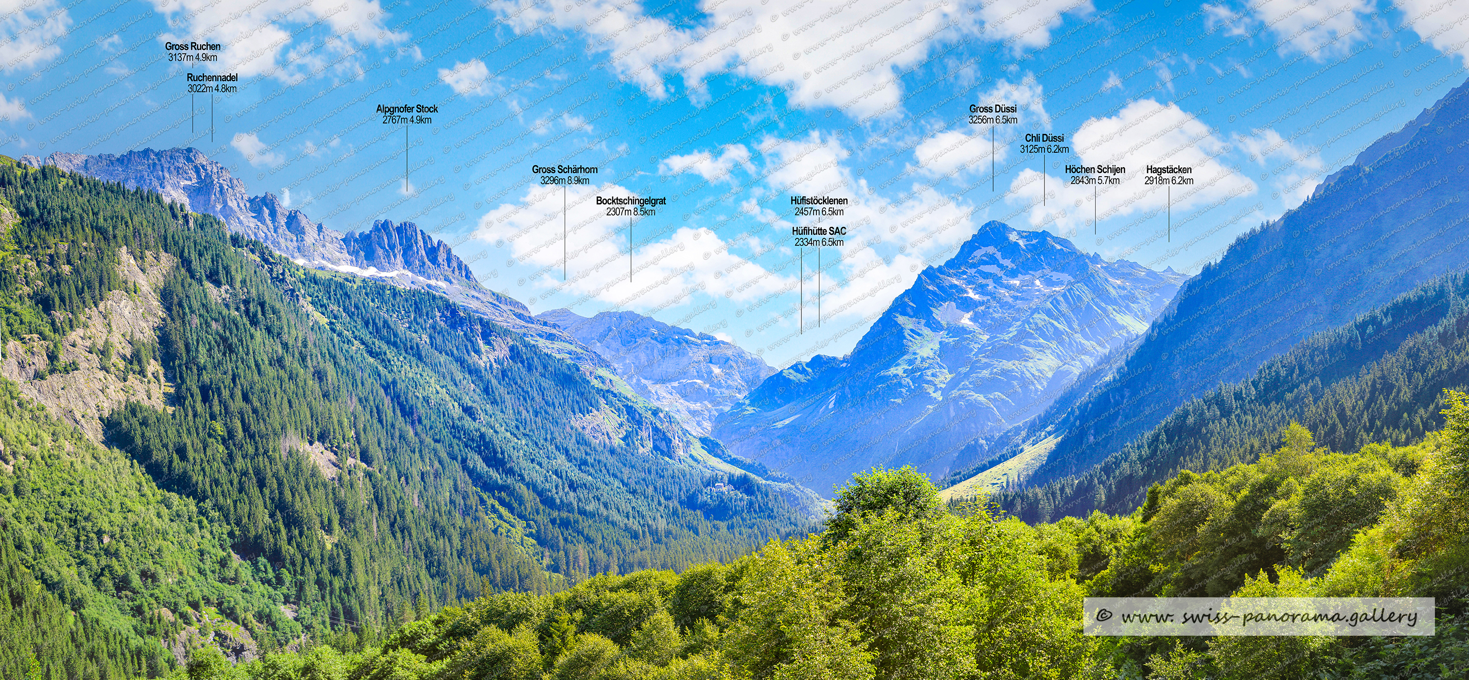 Beschriftetes Alpenpanorama vom Maderanertal Sichtbare Gipfel,  Maderanertal Sichtbare Gipfel, Bockistock 1941m 2.2km, Eigenstock 2154m, Chli Windgällen 2987m, Gross Windgällen 3187m, Wilderegg 2393m, Steintal 2582m, Furggelihorn 2765m 4.1km ,  Rigg 2019m, Chli Bristen 2202m, Stucklistock 3313m, Fleckistock 3417m, Gemsplanggenstöckli 2416m, Rot Bristen 2765m, Bristen 3073m , Sunnig Wichel 2910m, Zwächten 2853m, Sunnig Wichel 2910m, Hüfistöcklenen 2393m, Hüfihütte 2334m 4.1km, Hinterbalm 1915m, Hinterbalm 1915m, Tschingel Stöck 2873m 4.8km, Zinggen 2607m,  Stotzig Grat 2990m,  Straligen Stöckli 2928m,  Straligen Stöckli 2928m,  Chli Düssi 3125m,  Gross Düssi 3256m, Schwarzstöckli 2572m, Oberalpstock 3328, Bänderstock 2806m, Fruttstock 2837m,   Hochbocki 2604 m, Gemsplanggenstöckli 2809m, Hinterbalm 1915m, Hoch Rinderbiel 2010m,  Höchen Schijen 2843m, Swiss Alps