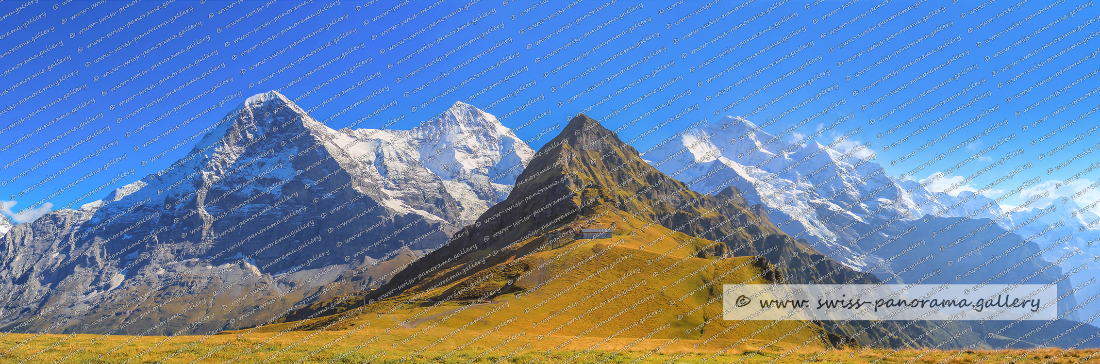 Switzerland Berner Oberland Eiger Mönch und Jungfrau Schweizer Alpenpanorama Matterhorn