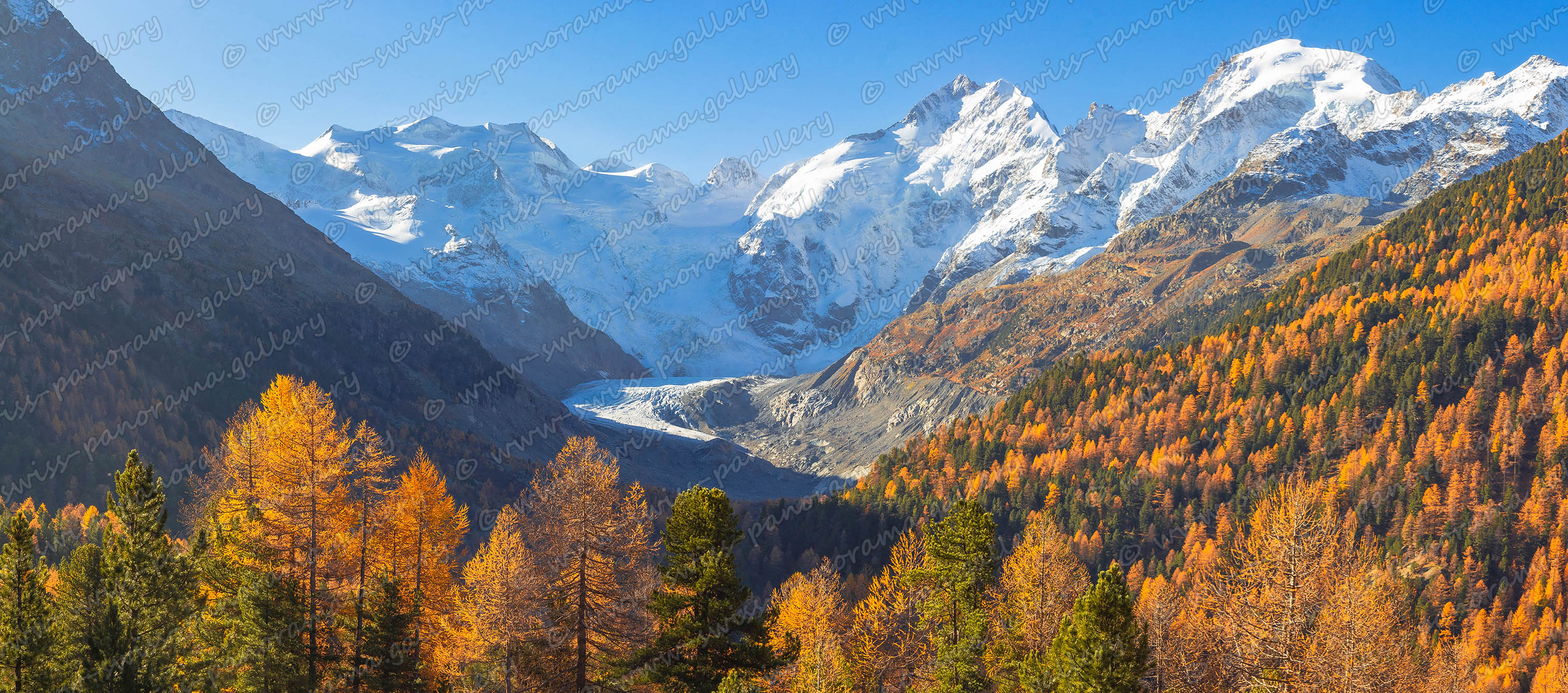 Switzerland panorama, Morteratsch, View from the Bernina pass road into the Morteratsch valley, swiss panorama.gallery
