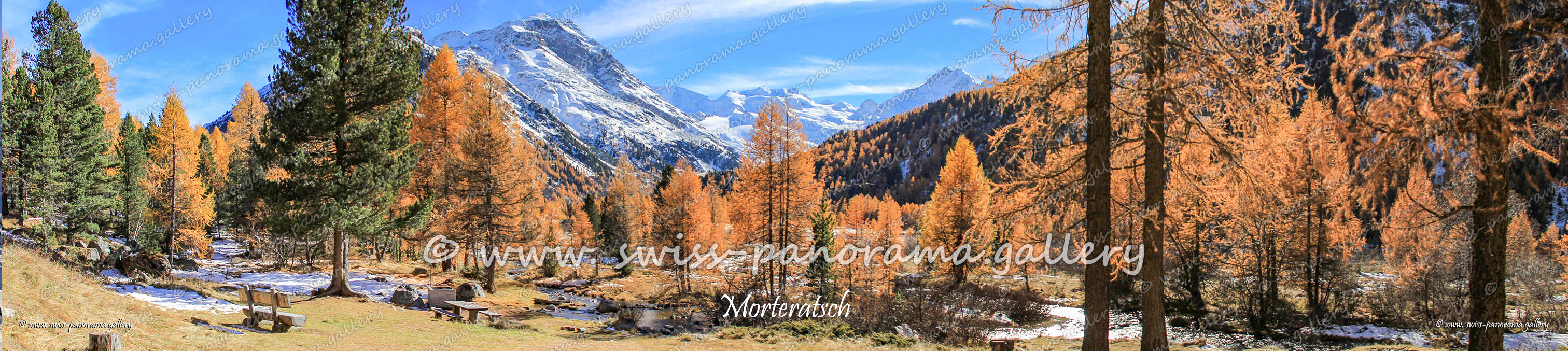 Morteratsch valley panorama