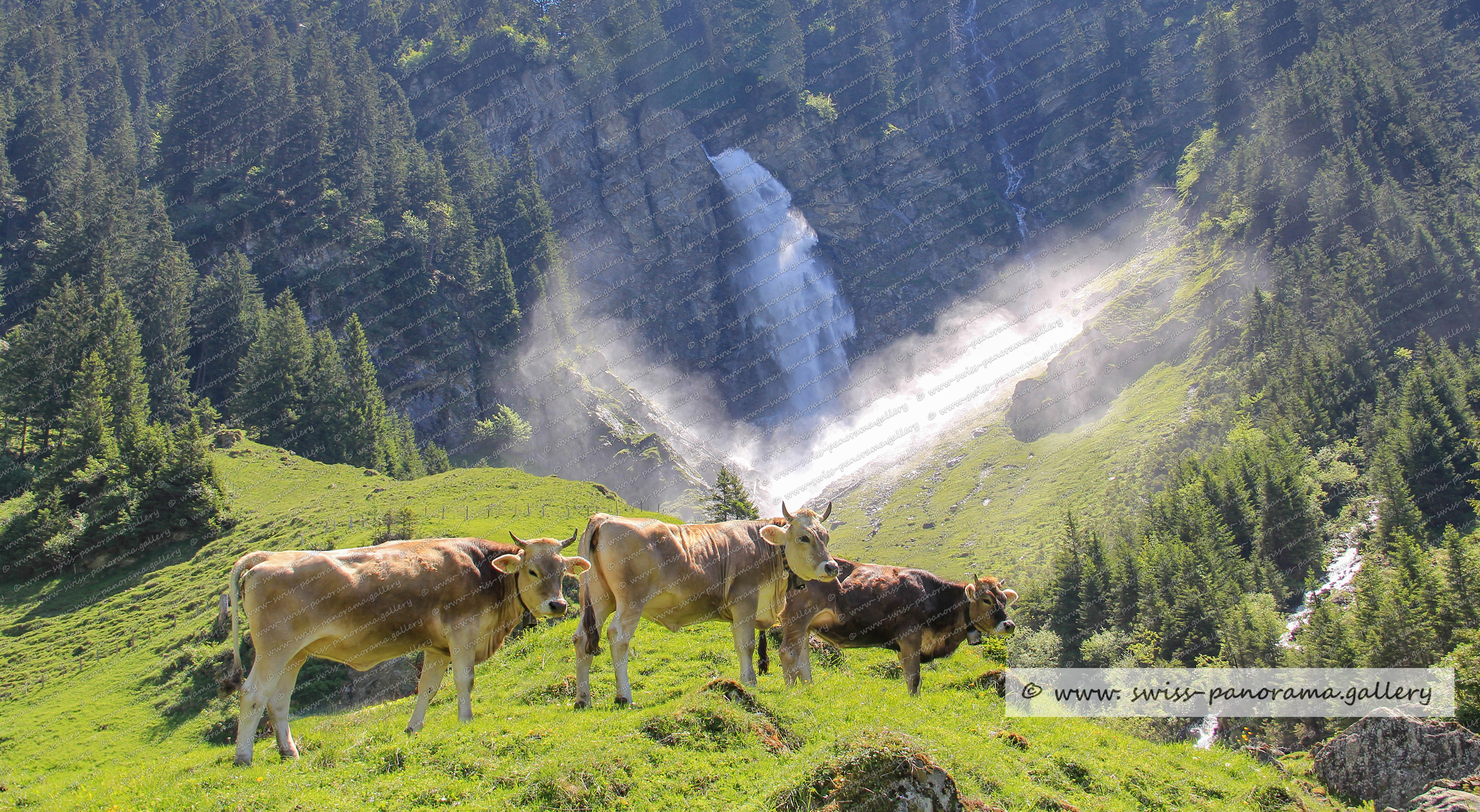 swiss mountain panorama, Beschriftetes Schweizer Alpenpanorama, Schächental, Staubenfall, Stäubifall