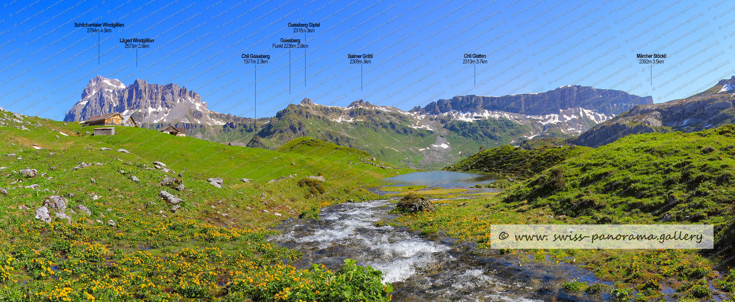 Beschriftetes Alpenpanorama von der Alp Oberalp, Schächental, Swiss mountain panorama, Läged Windgällen 2573m, Schächentaler Windgällen 2764m, Geissberg 2236m, Geissberg Gipfel 2318m, Chli Geissberg 1977m, Balmer Grätli Punkt 2309m, Märcher Stöckli 2382m, Chli Glatten 2313m, Berglichopf 2308m, Höch Pfaffen 2459m, Pfaffenstock  2413m 6km, Grätli 2215m, Pfaffentürm,  2368m, Rossstock 2461m, Gamperstock 2275m, Spilauerstock 2270m, Spilauergrätli 2303, Hagelstöckli 2183m, Stock 2142m im Schächental, Hagelstock 2181m, Swiss Panorama Gallery, Schweizer Bergpanorama Schächental, Urner Alpenpanorama, 