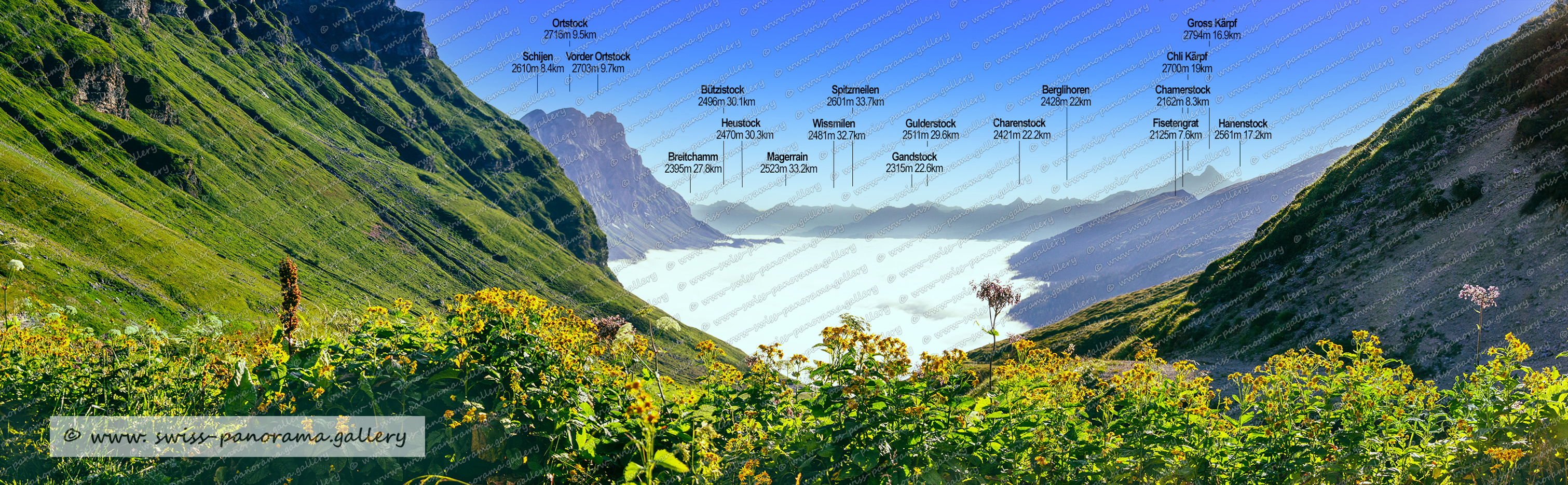 Beschriftetes Alpenpanorama von der Klausenpasshöhe, Beschriftetes Alpenpanorama vom Klausen Pass, Klausen mountain pass in Switzerland, Urnerboden, swiss panorama gallery, Chamerstock, Fisetengrat, Chamerstock 2162m, Chli Kärpf 2700m, Fisetengrat 2125m, Ortstock 2716m, Gross Kärpf 2794m, Chamerstock 2162m, Breitchamm 2395m, Hanenstock 2561m, Magerrain 2523m, Bützistock 2496m, Wissmilen 2481m, Heustock 2470m, Spitzmeilen 2501m , Gandstock 2315m, Charenstock 2421m  , Gulderstock 2511m , Berglihoren 2428m,