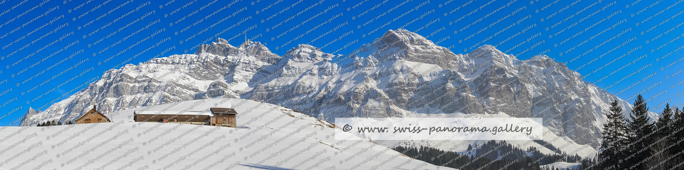 Schwägalp Blick zum Säntis Alpen Panorama Alpenpanorama