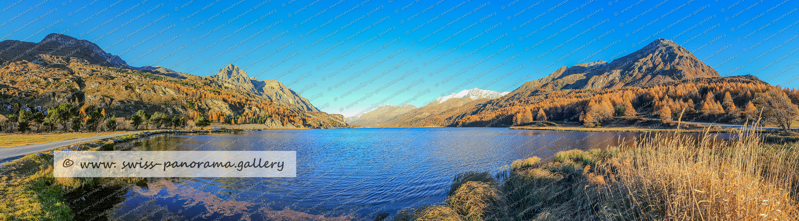 Silsersee, Sonnenuntergang, Alpenglühen, Oberengadin Schweizer Alpenpanorama