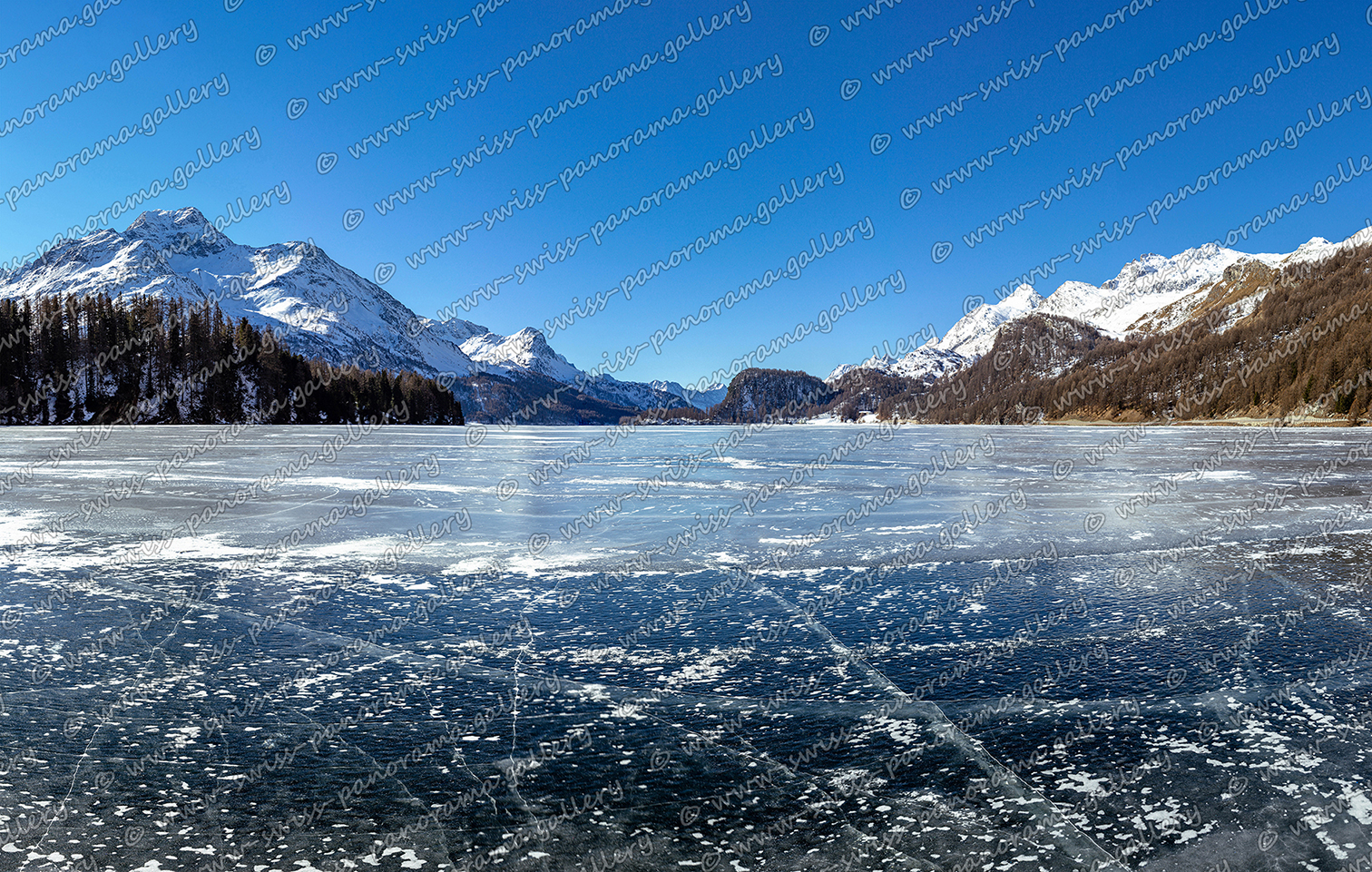 swiss panorama gallery Engadiner Seeen Silvaplanersee panorama Lake Silvaplana Upper Engiadina Lakes Area Piz Salacina 2'599 m (11 km), Piz Fedoz 3'190 m (11 km), Piz de la Margna 3'159 m (9 km), Furtschellas 2'932 m (4 km), Piz Corvatsch 3'458 m (5.5 km), Piz Mortel 3'442 m (5 km), Munt Arlas 3'129 m (4 km), Piz San Gian 3'134 m (4 km), Piz Surley 3'188 m (9 km)