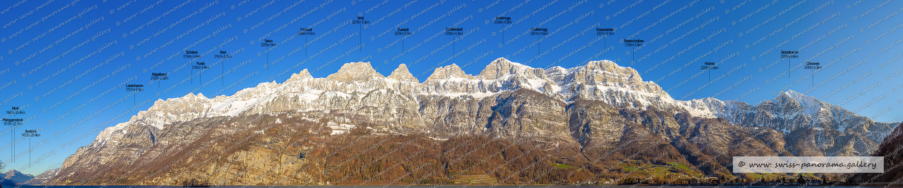 Walensee Panorama Walenstadt
Beschriftetes Schweizer Alpenpanorama Walenstadt , Panoramic picture of the Swiss Alps, Panoramic photos of the Swiss Alps, Beschriftetes Panorama Walensee, Beschriftetes Panorama Churfirsten, Schären 2194m SG (Churfirsten), Nägeliberg 2162m, Leistchamm 2101m SG (Churfirsten), Selun 2205m SG (Churfirsten), Wart 2167m SG (Churfirsten), Glattchamm 2098m SG (Churfirsten), Frümsel 2266m SG (Churfirsten), Brisi 2278m SG (Churfirsten)  , Hinterrugg 2306m SG (Churfirsten), Zuestoll 2234m  SG (Churfirsten)  , Schibenstoll 2235m  SG (Churfirsten), Hirzli 1640m, Austock 1423m SZ (Reichenburg)  25.9km, Wageten 1755m GL 22,6km, Chäserrugg 2261m SG (Churfirsten) 4.2km, Riseten 1736m GL, Chli Güslen 1868m SG,  Mürtshenstock (Stock) 2390m, Nüenchamm1904mGL  13.9km, Rosenböden 2207m SG (Churfirsten) 4.2km, Cuncels 1938m 6.7km, Gross Güslen 1843m SG, Aulinachopf 1170m, swiss-panorama.gallery, famous Swiss Alps, Swiss Panorama Gallery, labelled mountain panorama from Switzerland,